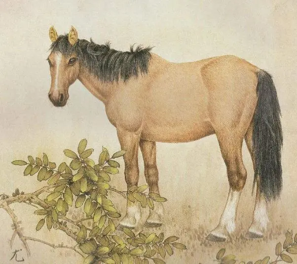 1996年属鸡的出生时辰_十二生肖属马之人最好的出生时辰_属鸡的出生时辰