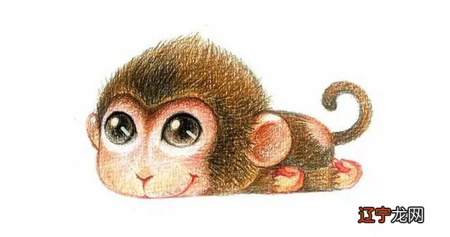 属鸡的出生时辰_1996年属鸡的出生时辰_十二生肖属马之人最好的出生时辰