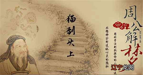 风水堂:梦见猫到头上的吉凶指数