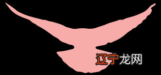 情感挽回诈骗案以“占卜大师”获刑十一年落下帷幕