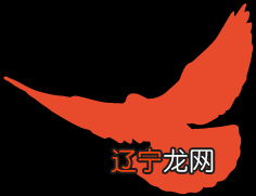 情感挽回诈骗案以“占卜大师”获刑十一年落下帷幕