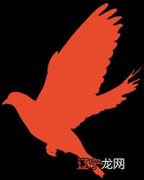 情感挽回诈骗案以“占卜大师”获刑十一年落下帷幕