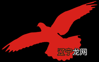 情感挽回诈骗案以“占卜大师”获刑十一年落下帷幕