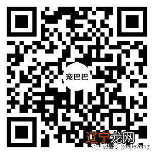 狗狗把前脚放在桌子上，狗狗却说是手，后面的才是脚