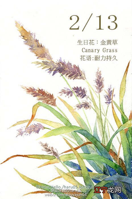 搜狐语8月15日向日葵花语:光辉花占卜