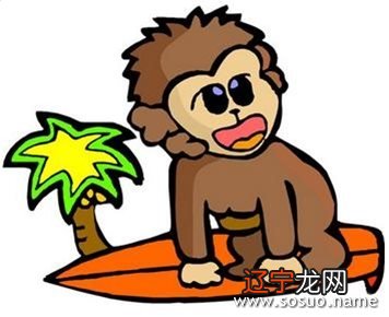 女属猴和什么属相最配、相克你想知道吗?