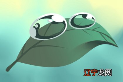 十二生肖中对父母不孝运气也不好的生肖有谁呢?