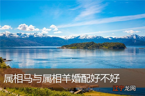 十二生肖属马的最佳配偶,虎婚配配什么属相好?