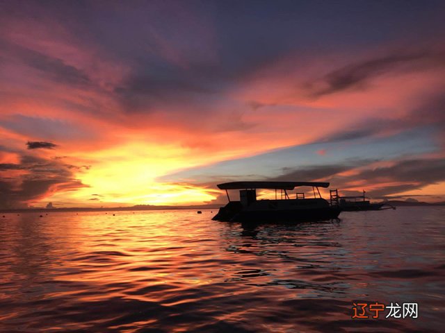 2.梦见花开了又谢是什么意思?梦见盆花花开