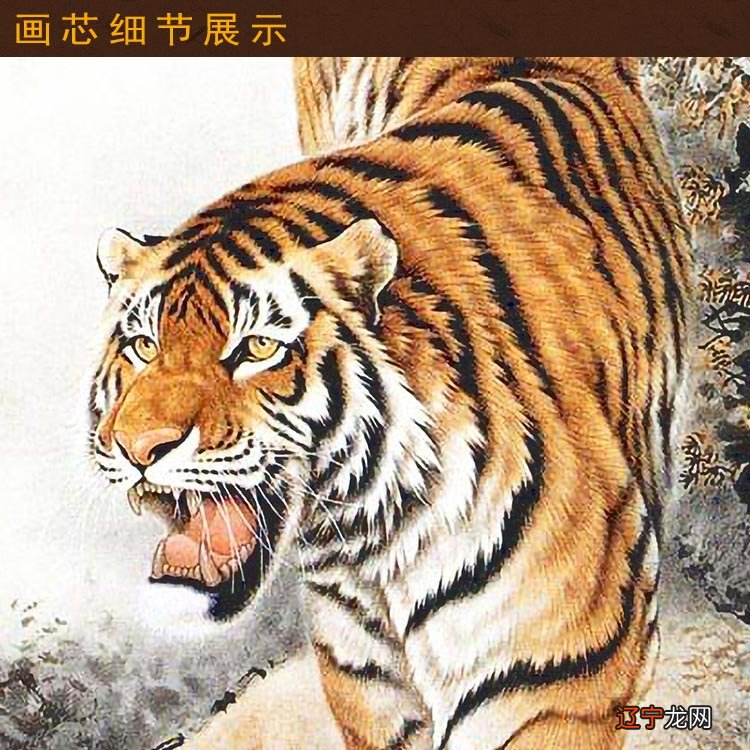 12生肖五行属性_2106年生肖_生肖属性2106