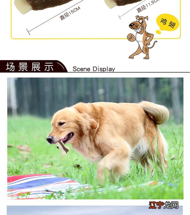 梦见大黄狗抱着我_梦见狗从背后抱着我_梦见狗抱着我