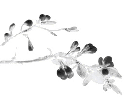 如何从八字中看工作、事业变动的方向呢？？