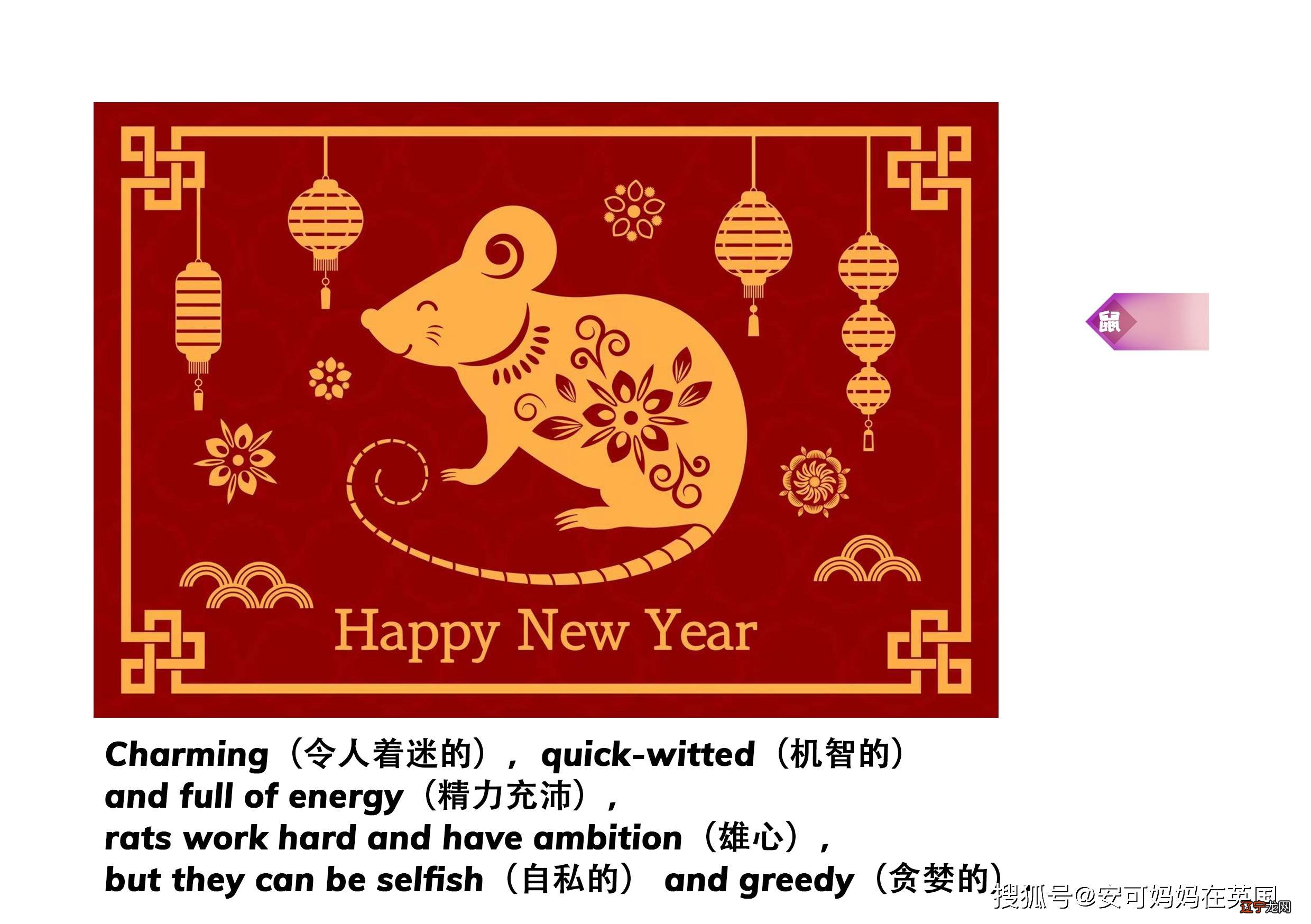 生肖属性 英文_2016生肖属性波色五行_生肖五行属性