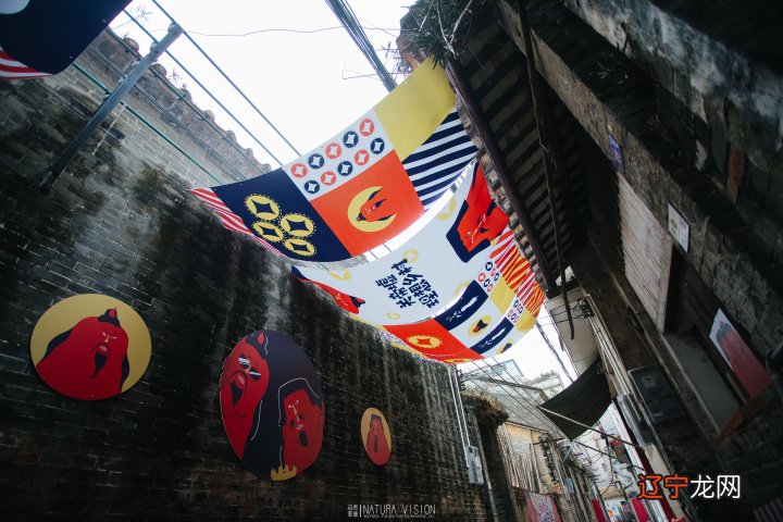 博鳌中国文创地图，访谈就从这件事开始好了