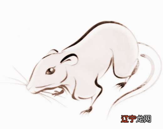 2008年出生的人是什么命?他们是怎么做到的