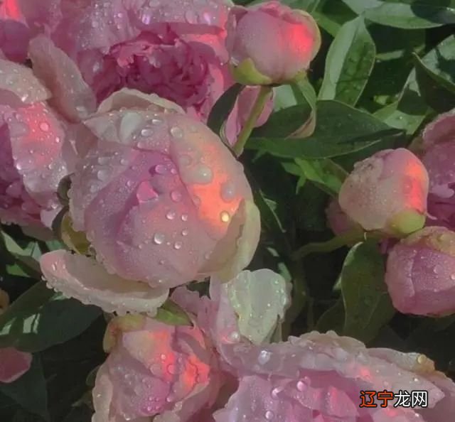 深度好文 你是这样的呢的人吗?