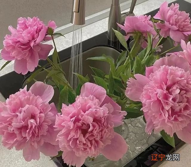 深度好文 你是这样的呢的人吗?