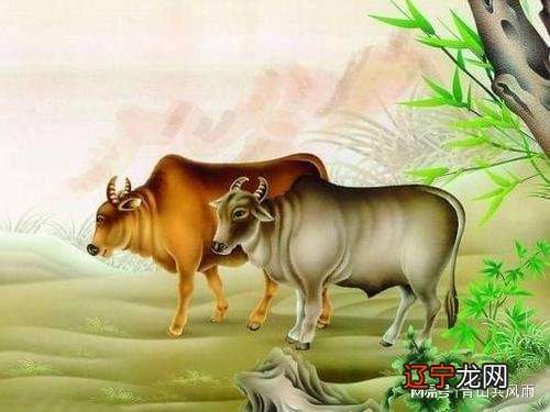 周瑜生肖属什么生肖_1958年属什么生肖属命_属牛的人的生肖软肋