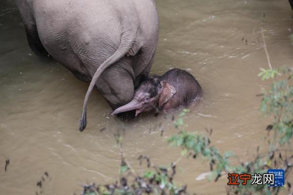 组图 性格中有哪些你不知道的“神秘”特质?