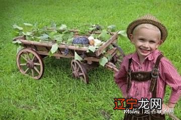 借助《楚辞》起名正所谓是“男楚辞,女诗经”