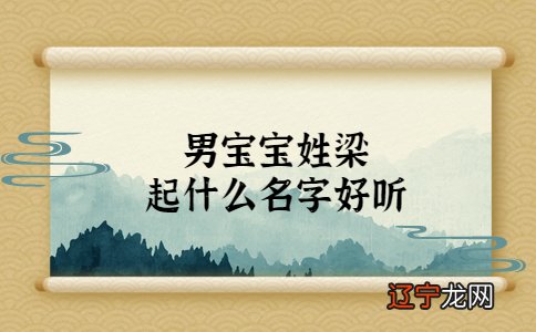 2022年赵姓宝宝名字大全_2016姓张的猴宝宝名字大全_姓洪洪男宝宝名字大全