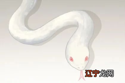 周公解梦:梦见蛇来找我是什么征兆?