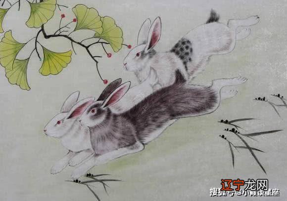 属牛男的女人最吸引属兔女的三大星座