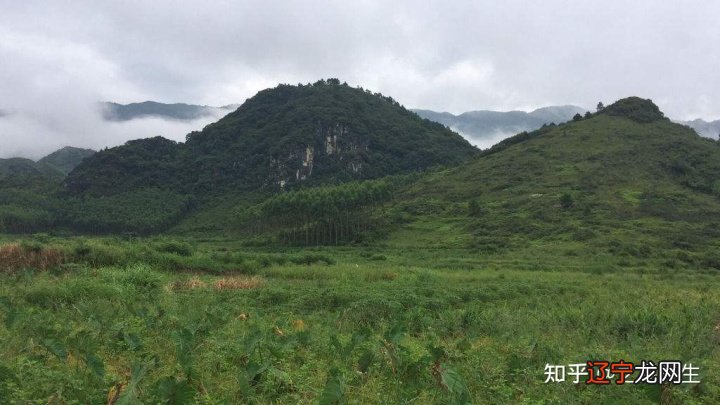 风水堂:八字均衡受气二是均衡？