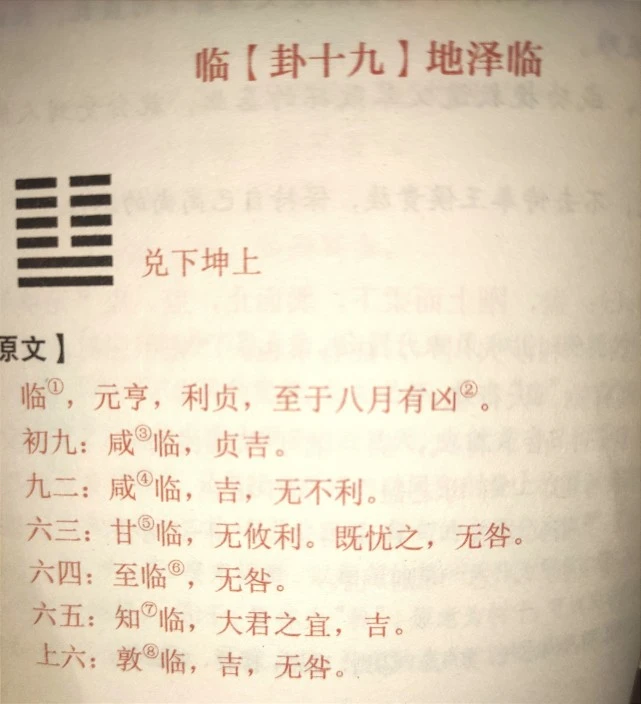 山雷颐 山泽损_周易山雷颐_山雷颐变风雷益 感情