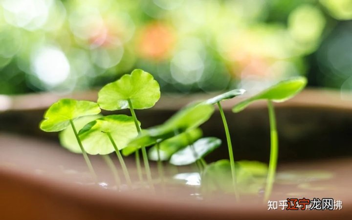 昆明请过风水大师谈房子是不是风水有什么问题。。