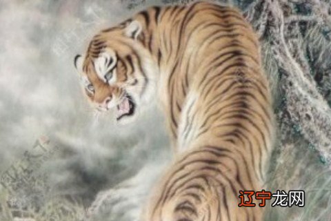 1986年属虎多少岁走大运,中年后能发达吗