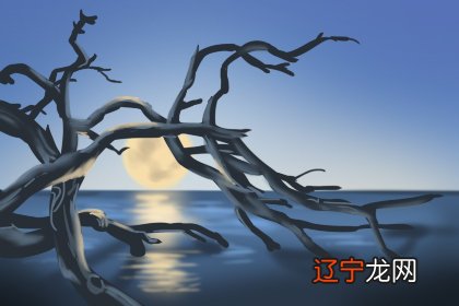 梦见在水里捞到乌龟，预示着你近期财运走高