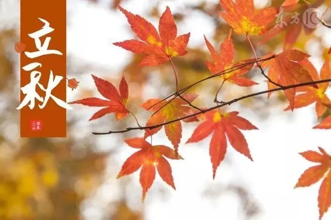 1984属什么生肖属相属什么_1983属什么生肖属相_1983属什么的生肖属相