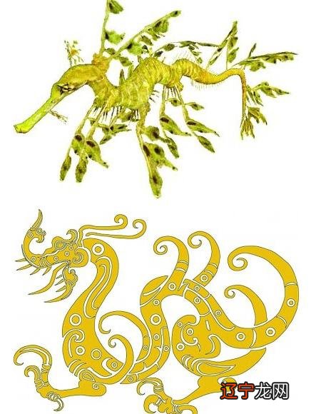 组图 2020年属猪的人在年运程如何?