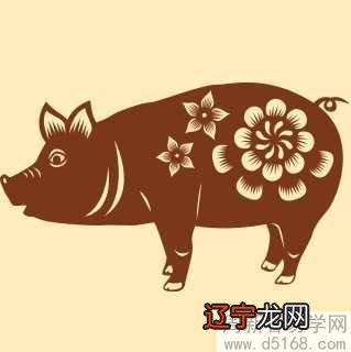 1983属什么生肖属相_1983属什么生肖_1983年1月属什么生肖