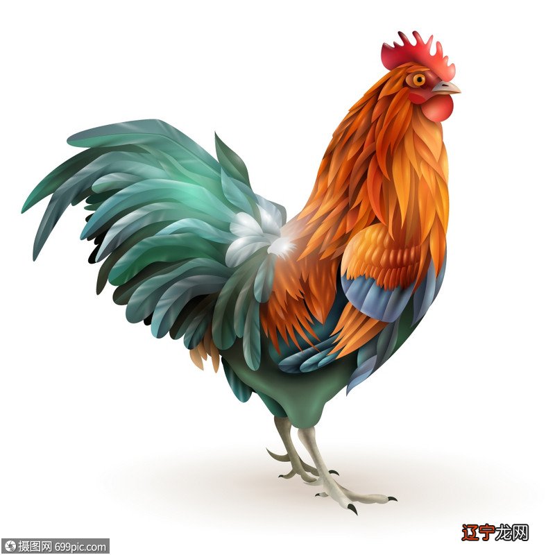 属鸡风水堂:属鸡和什么属相的女性最配