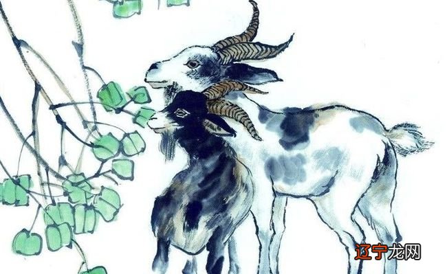 属女鸡和属男猴的相冲吗_生肖鸡和什么生肖配旺_属鸡女与什么生肖最配