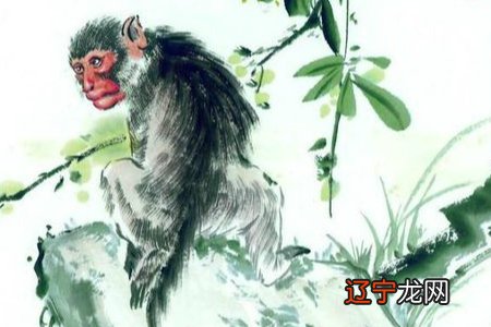 一下2016年属猴的人2019年运程大全及破解