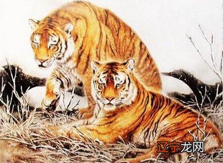 属虎12月份运势如何2021年属虎女的财运星座