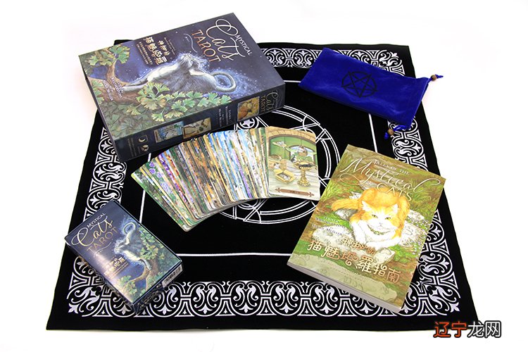 【塔灵星社】塔罗占卜仅限女生的一条信息