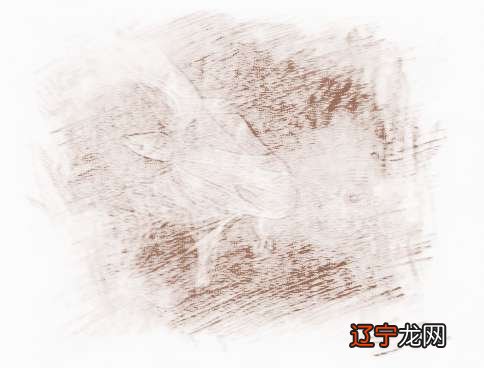 摩羯座和魔蝎座未来一年的运势2017年整体运势