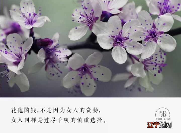 深度好文 为什么好的婚姻，一定要谈钱？