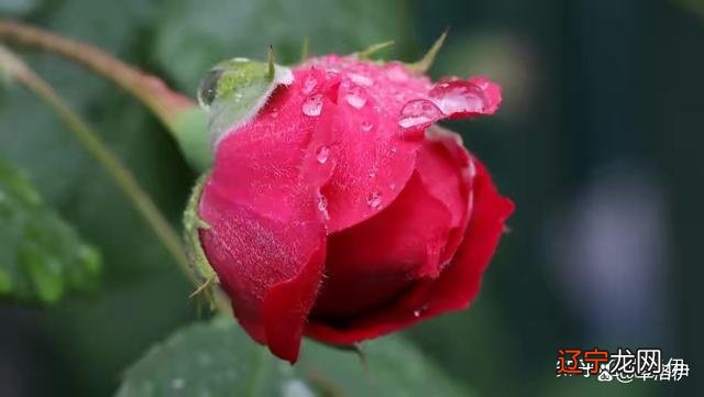 深度好文 为什么好的婚姻，一定要谈钱？