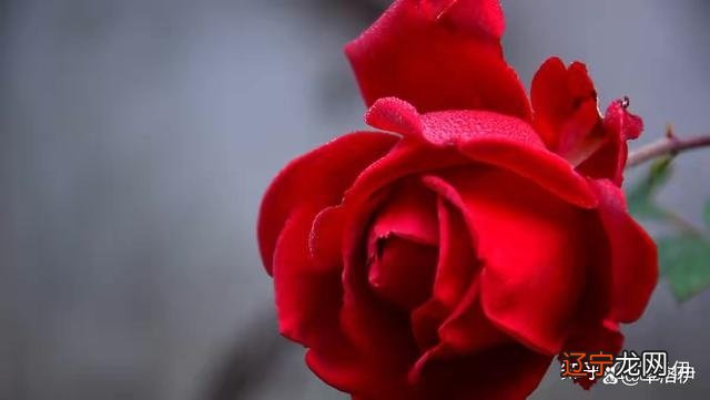 深度好文 为什么好的婚姻，一定要谈钱？