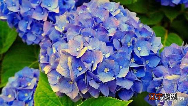 深度好文 为什么好的婚姻，一定要谈钱？