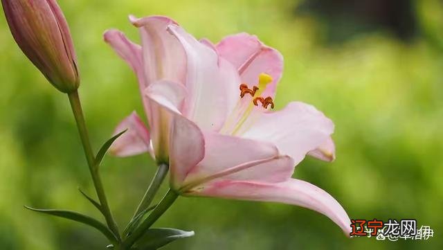 深度好文 为什么好的婚姻，一定要谈钱？