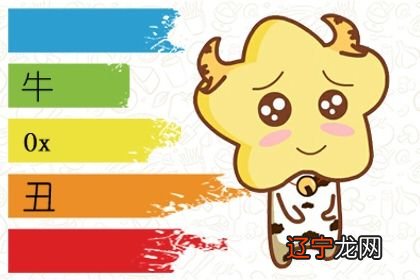 谁是属牛的六合生肖，说不定就此走向人生巅峰