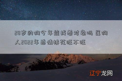 28岁的狗今年能找着对象吗 属狗人2022年感情桃花旺不旺