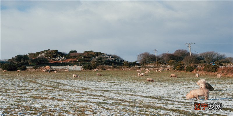 比比第一个练习是使用大家都知道的三张牌占卜法
