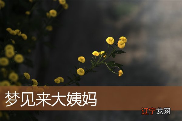 梦见女人例假 风水堂:招聘方较重视你的知识面